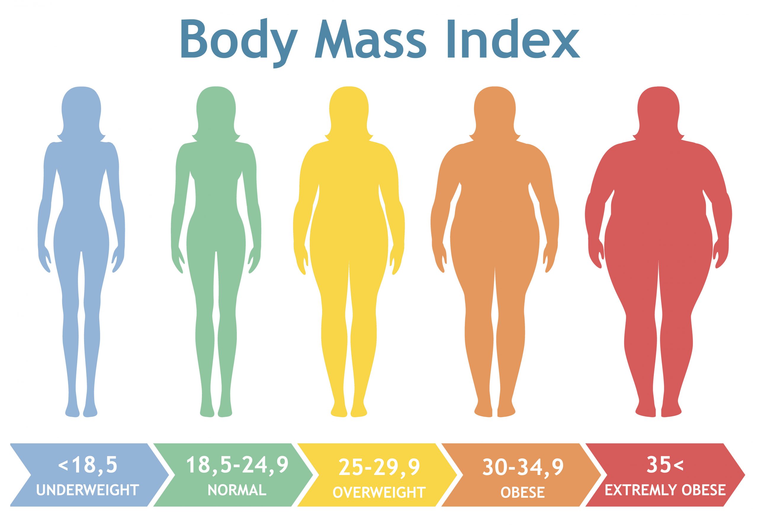 BMI Obesity