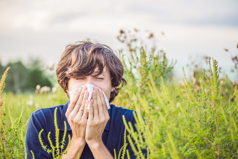 Pollen Allergy