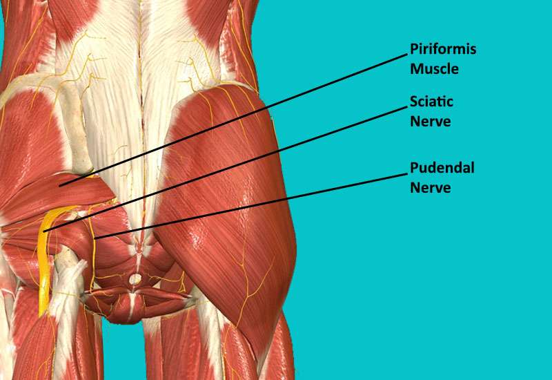 Pudendal Neuralgia