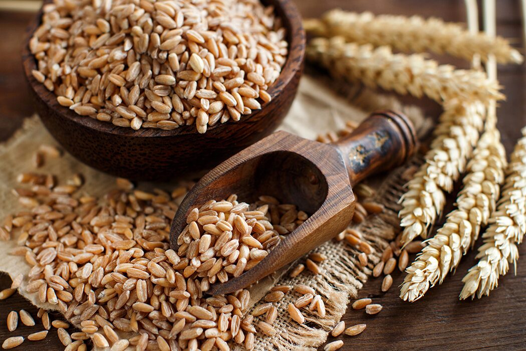 zwheat